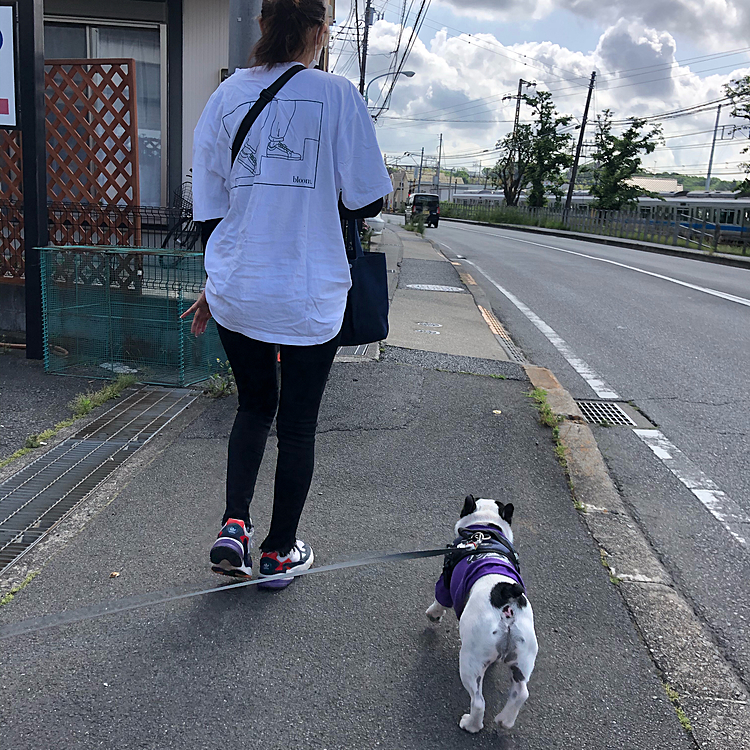 今日の朝散歩は駅に向かう娘と一緒に出ました😀
