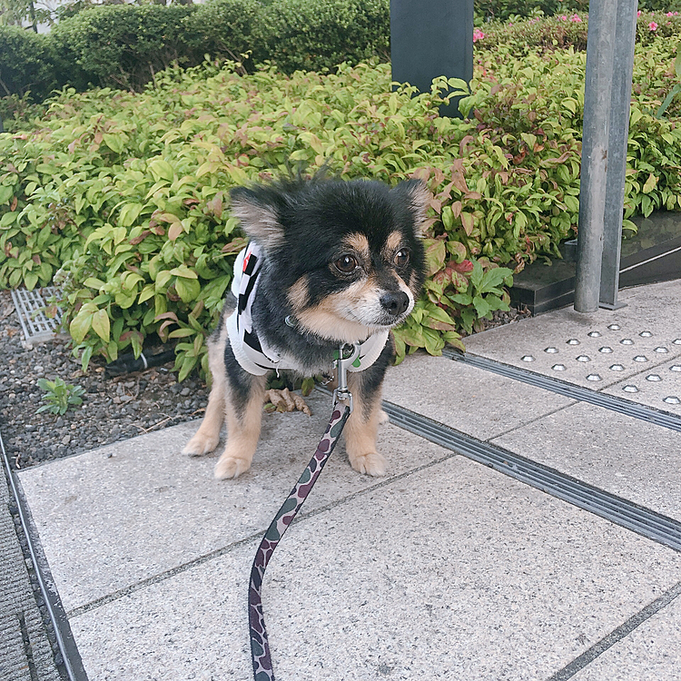 うんちんぐスタイルも激写しました

ご飯中の方すみません🙇‍♀️💦

