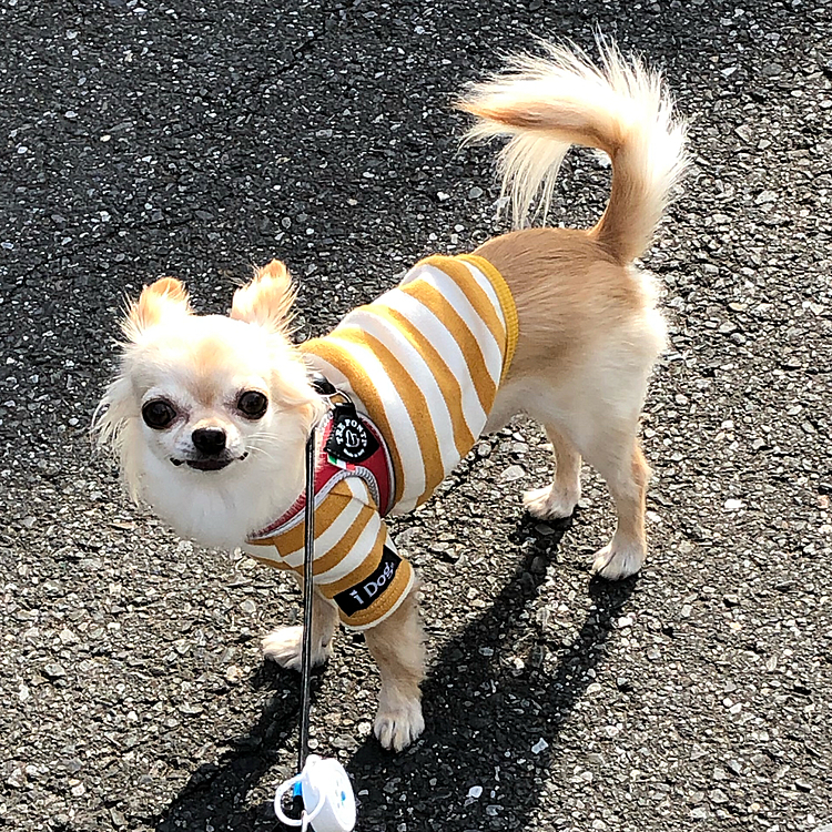 まだお家🏠に入りたくないと拒否していました😅
