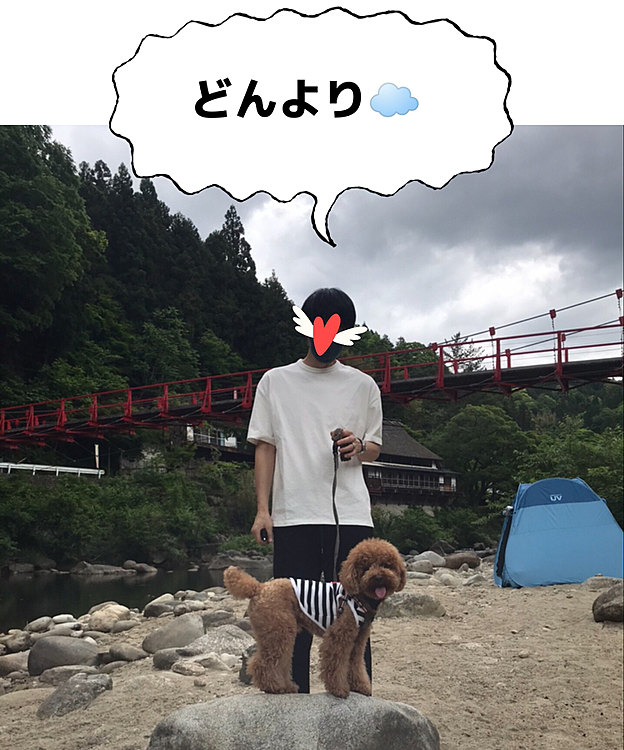 お店が再開されたり少しずつ日常が戻りつつありますが、県をまたいでのお出掛けや密になる場所はしばらく避けたいと思います😉

と言う事で愛知県の紅葉🍁が有名な場所に出かけました🚗

晴れ予報だったのがまさかの曇天☁️
しかも少し涼しい💦