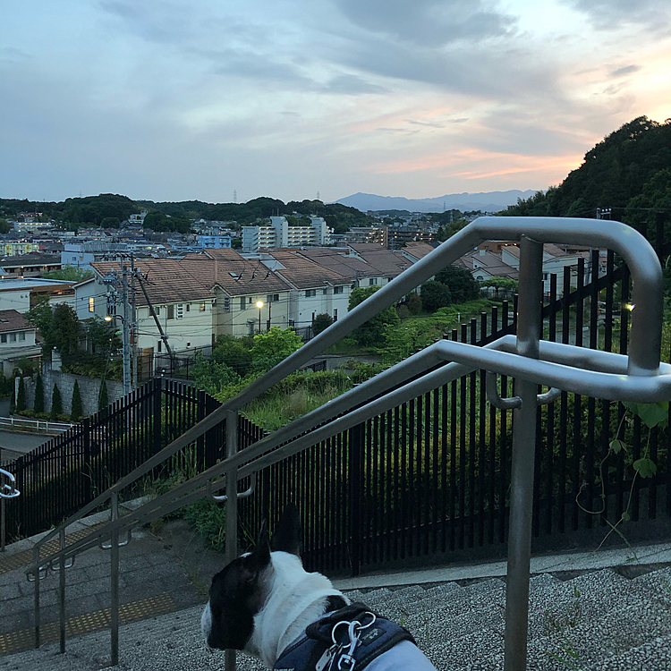 いつもの丘の上からの夕景、7時過ぎでもこんな感じです😁