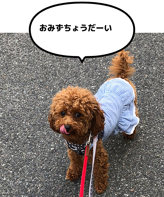 そろそろ水分補給のペロリ👅です。