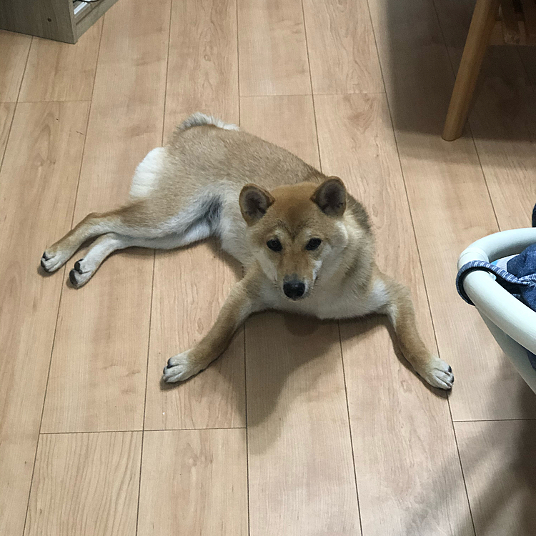こんな開き初めて🤣🤣