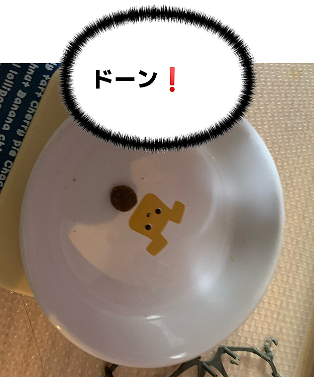 一粒残し。そしてめちゃくちゃ食べ終わった感出してくる💦
残ってるよ〜😅ちょっと残しといて『食べ終わったのでご褒美下さい』って違うから💦
ちゃんと残さず食べないとご褒美はありません😤