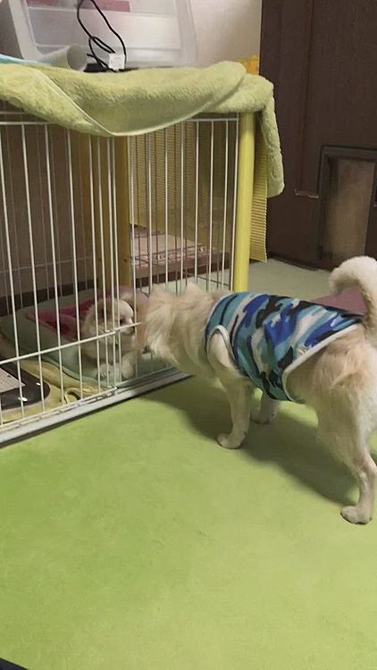 気になって仕方ないようやね😊