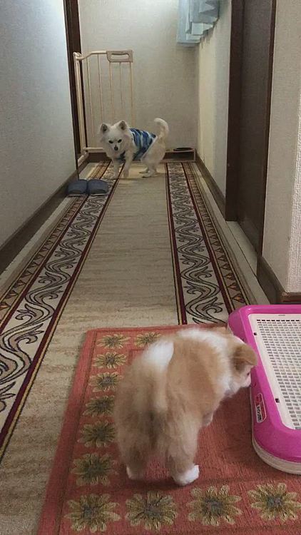 小雪、かなり近づいてきたね😊