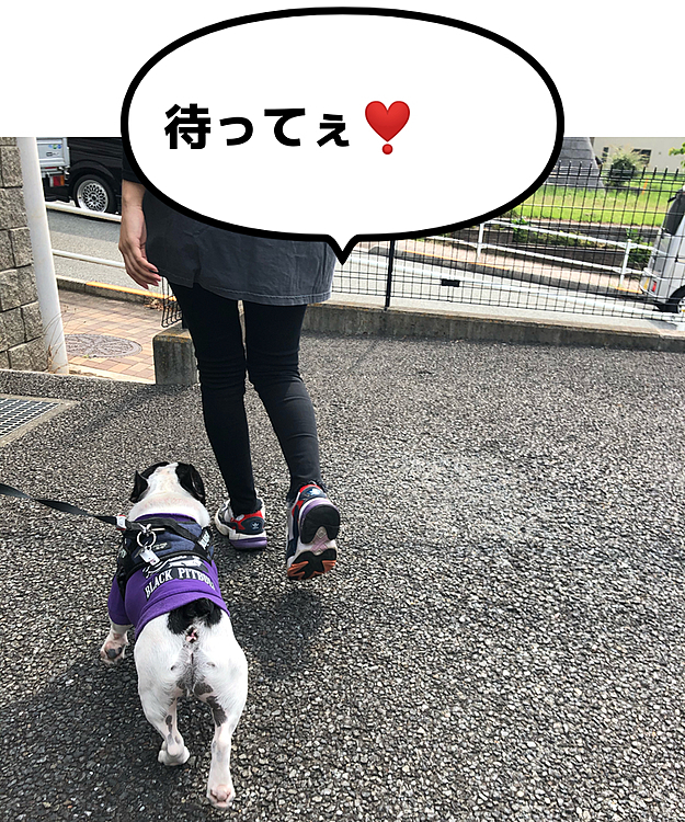 今朝のお散歩は駅に向かう娘と一緒です😁