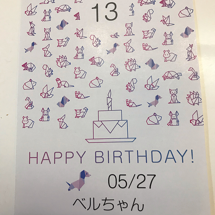 又々忘れた😆
昨日はベルの誕生日でした❣️
4分の3の🐶誕生日を忘れ、この勢いだとひなの誕生日も危ないなぁ〜😅