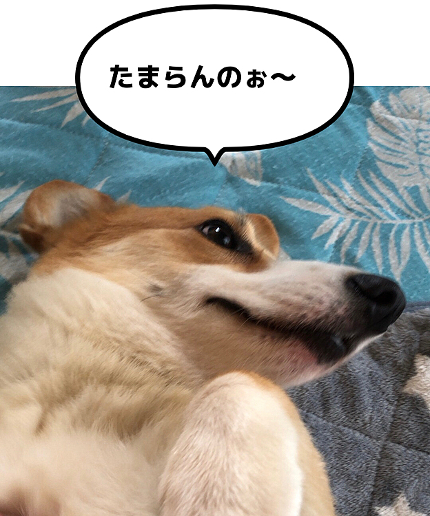 今日はおかーさんに癒され中😍