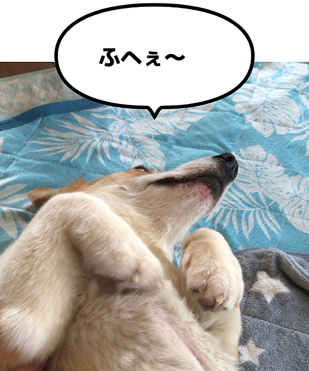 もういんじゃね？🤣
なかなかこの姿勢から動かない、まあ？でした🤣