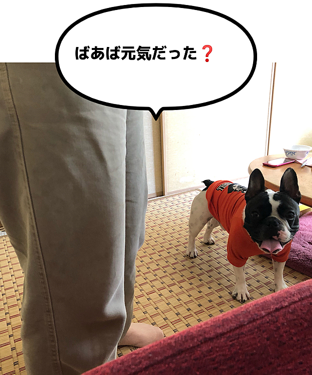 今日は久しぶりにばあば（私の母）のところに行って来ました😀
電話では頻繁に連絡とっていたのですが、万が一コロナウィルスを持ち込んだらいけないと思い自粛してました🙂