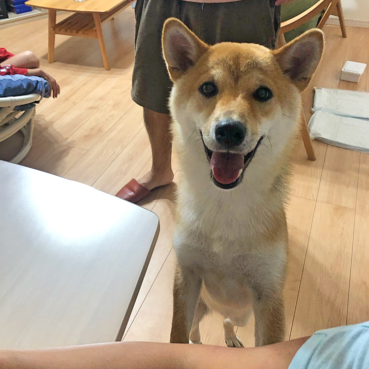 ☺️笑ってる見たい😝💕💕