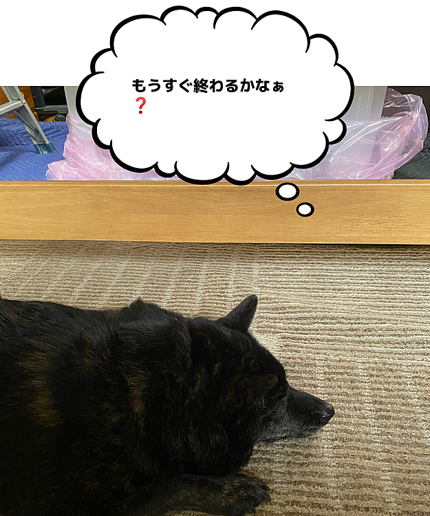 ここまで静かに、ただひたすら終わるのを待つとは思いませんでした🤣🤣
