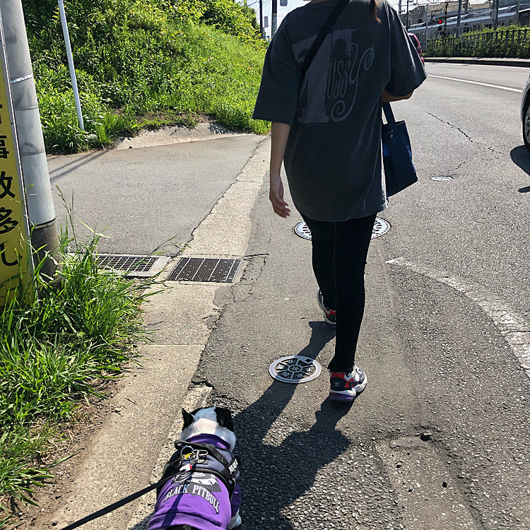 今朝の散歩はバイトで駅に向かう娘と一緒にスタート😁