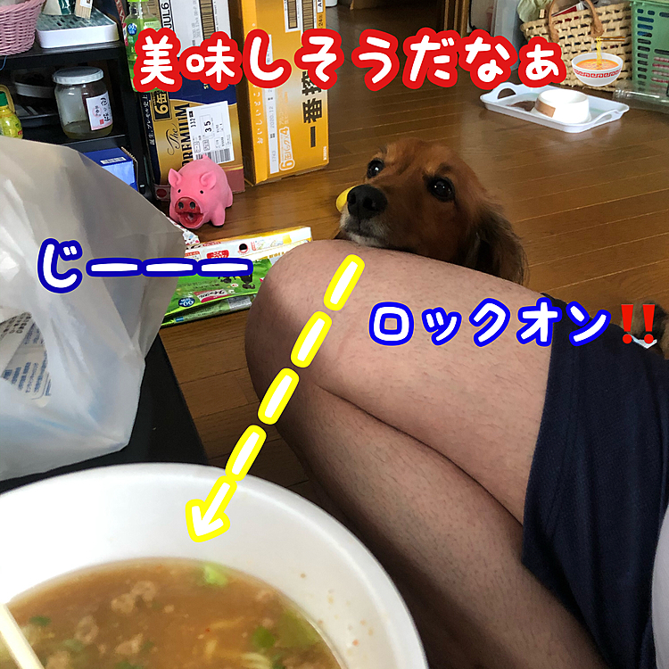 たかり犬U･ω･U(笑)