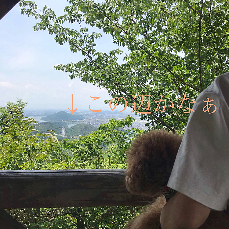 ここは犬山市、お友達のルルちゃんのいる場所です💕
あの辺りかなぁと思っていました☺️