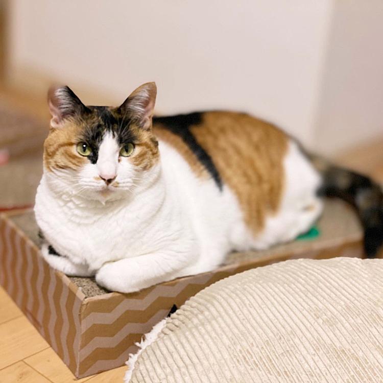 まったり