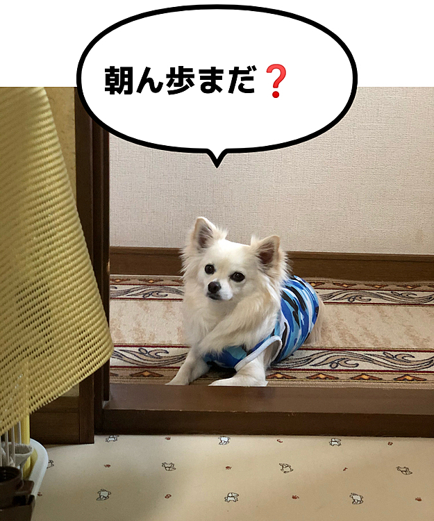 おはようございます☀
今日も小雪地方は30 ℃予報です💦
