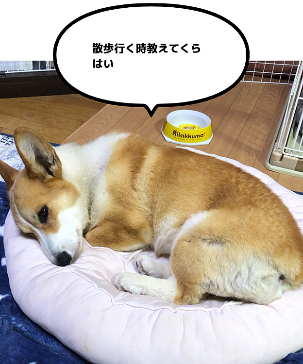 暑いからクールダウン😃