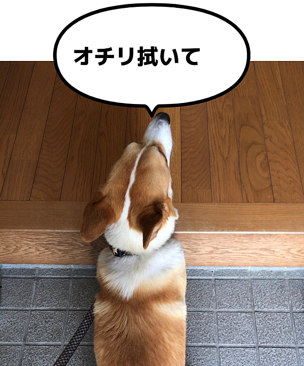 拭き拭きして、おしまい😍
あとはマッタリしよーね😃