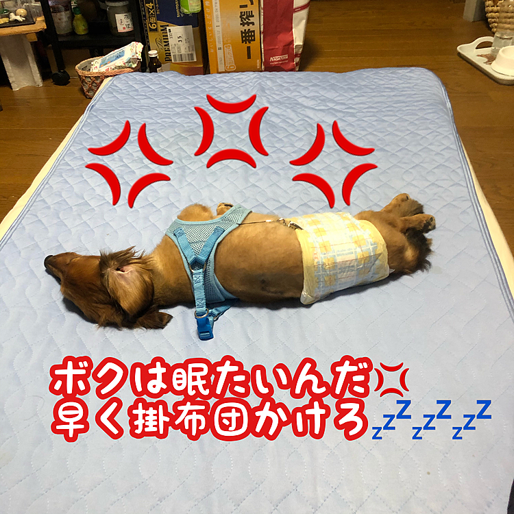 そんなド真ん中で寝られたら…(T_T)(苦笑)