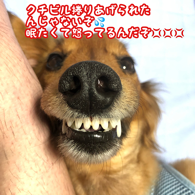 捲りあげたんだってば🤣🤣🤣