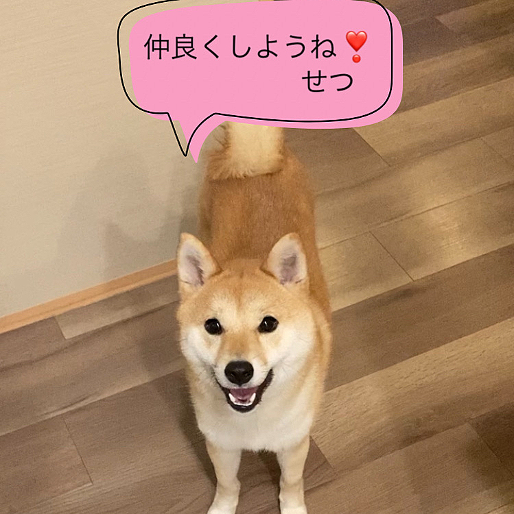 パパに送っておきました⭐️