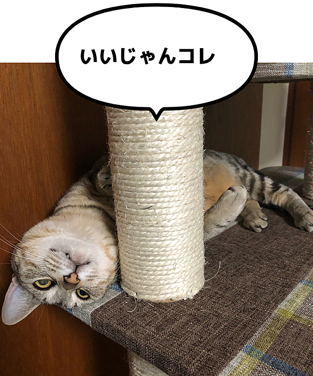 いやいやなんとか使ってくれとるわ
