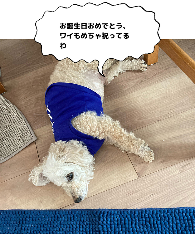 オーナー1294の投稿