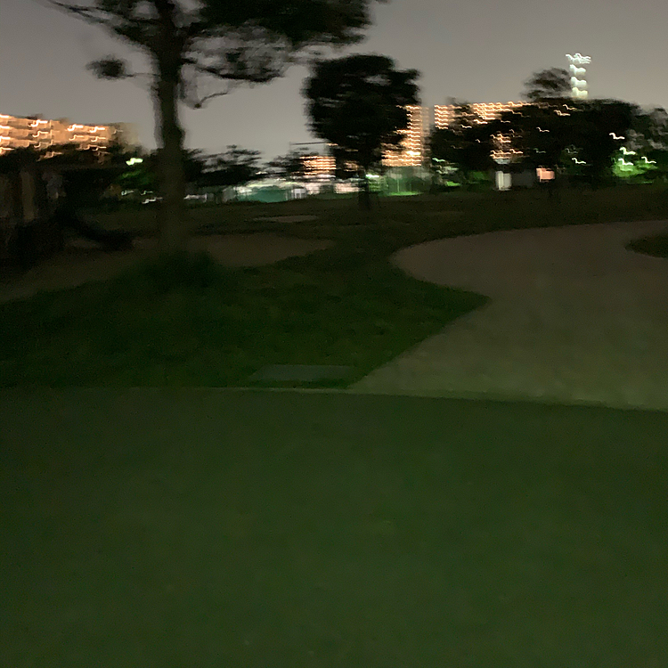 いつものお散歩コース…ずっと思ってた暗い。びっくりするほど暗い💦毎度ハピさん暗くてどこいるかわかんない😅黒いから全然見えない😭