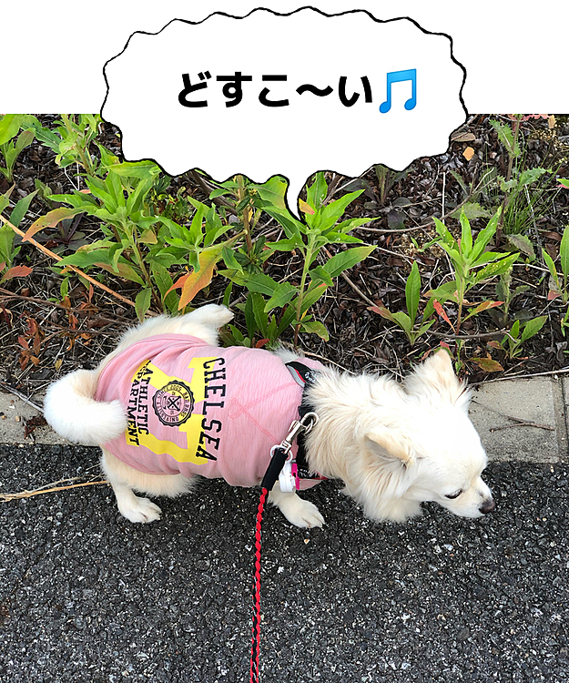 朝練も毎日ちゃんとサボらず頑張ってますよ〜✨