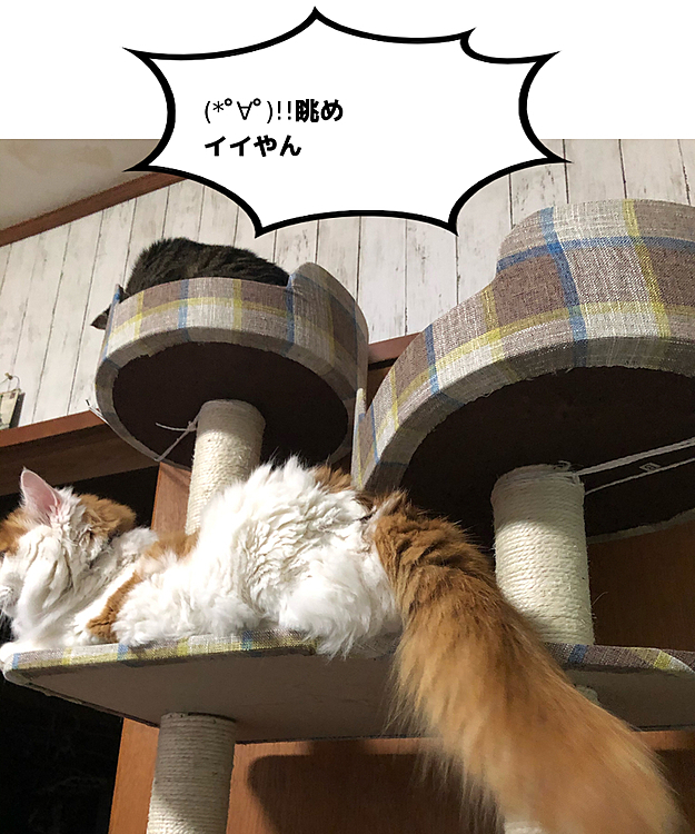 と  彼等は呟いていました