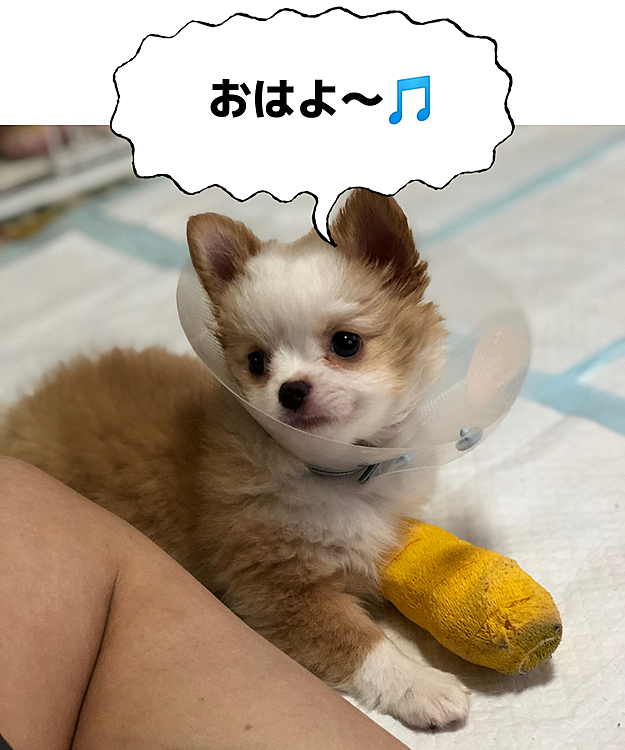 おはようございます😄
今朝は、小春特集です✨