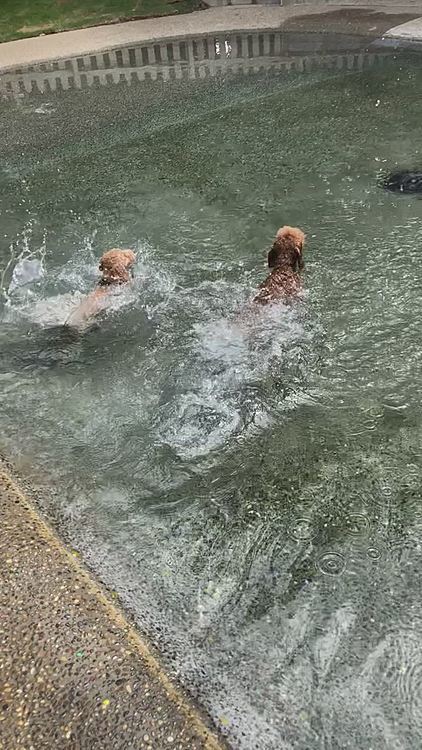 最終的には強制入水です🤨
