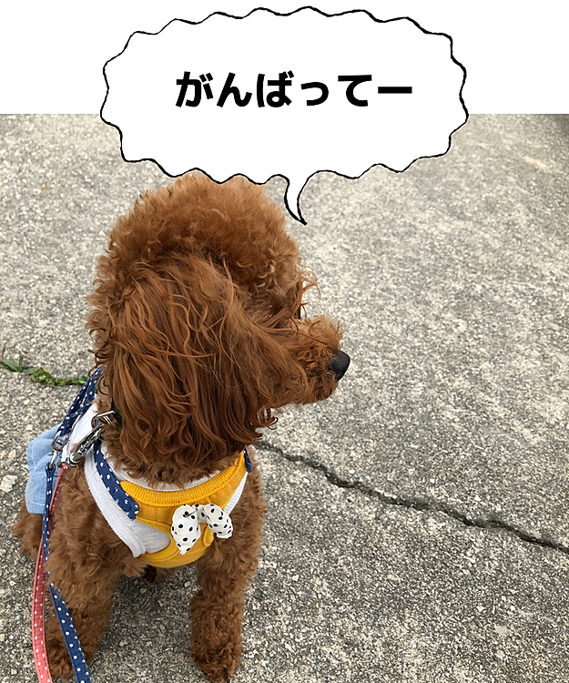 しばらくジーッと眺めていました。👀💕
おいしいお米🌾🌾ができます様に。👏👏
