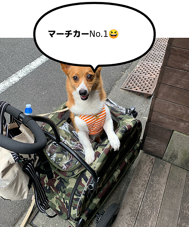 こんにちは😃
今日はムシムシの1日です💦
愛用しているマーチのカートですが、大きくて玄関に置くと邪魔になってしまい、普段は車の中に置いています🚘そうなるといざという時に不便です😭
最近エアバギーで小さめのカートが発売されたので、今日エアバギー渋谷店に見に行きました☺️
試乗してみると、ん〜…マーチには窮屈でちょっと無理かな😅代わりにリュックをお試し❣️