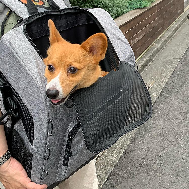 リュックは15キロまでOKで、中も広くて余裕でした👍
エアバギーのお姉さんにも上手ねって言われたね🤣