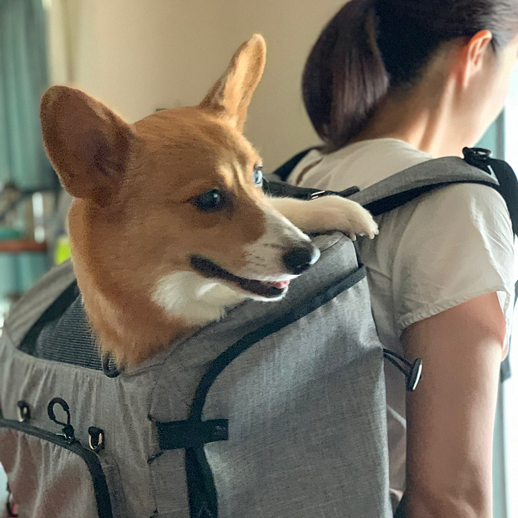 わたしも背負ってみましたが、、
重いけど避難する時だったらなんとか頑張れそうです💪