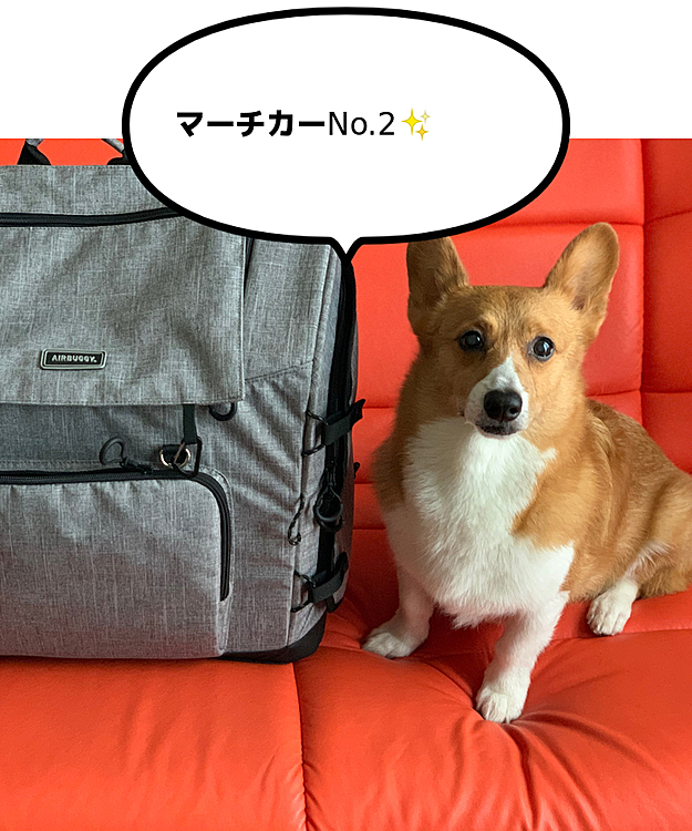 そんなわけでお買上げ💸💦
避難することがないに越したことはないですが、何かあっても安心だね☺️マーチさん💕