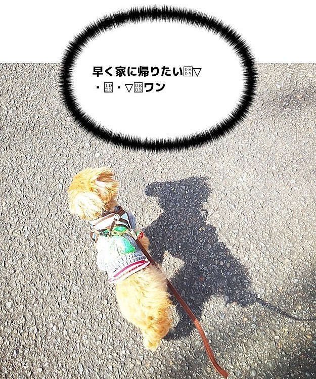 Nikoの投稿