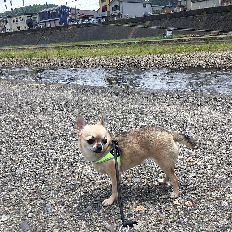 poco raraの投稿