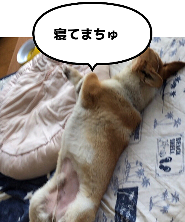 疲れてんの？🤣
まだ何もしてないよ？🤣笑笑