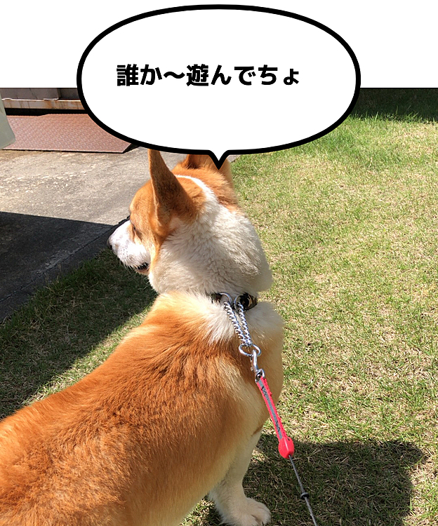 誰か通らないか道路をガン見🤣