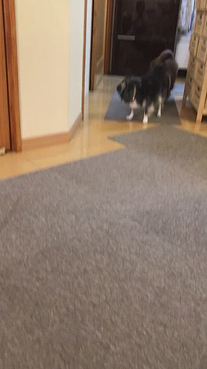 走ってダメなのに止まらない😥