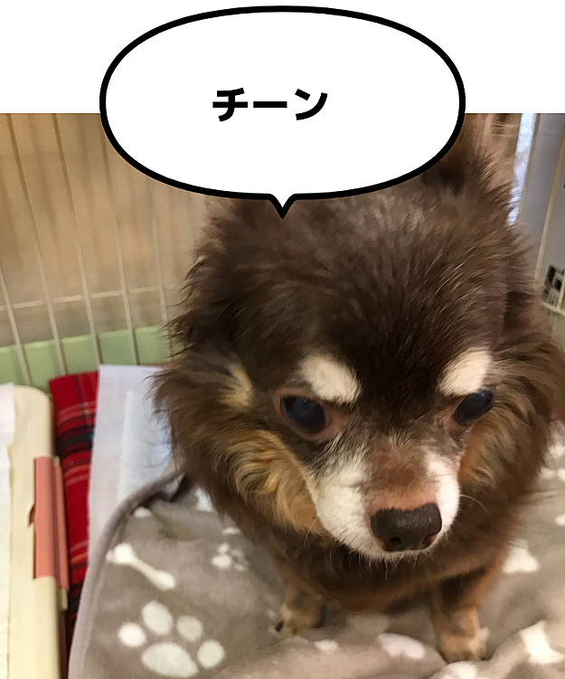 ハウスに入れられました😆