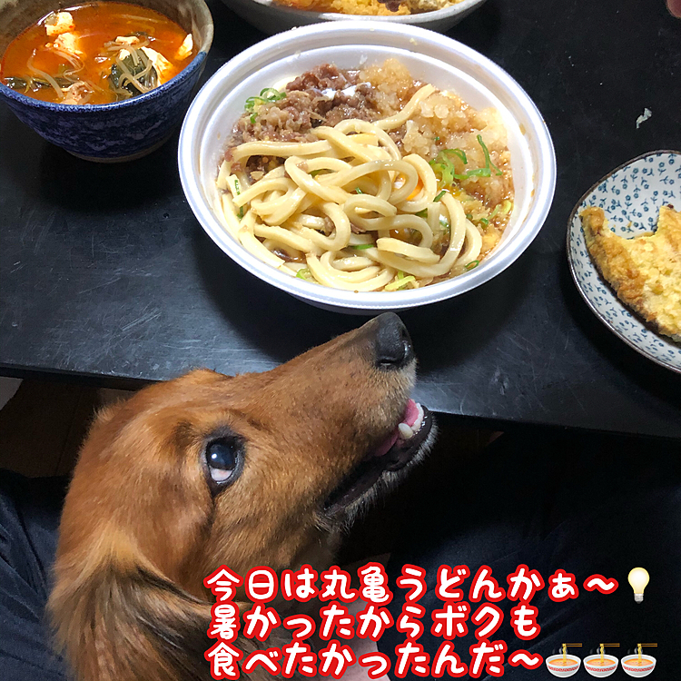 お前も季節柄にこだわるのか⁉️(￣▽￣;)(笑)