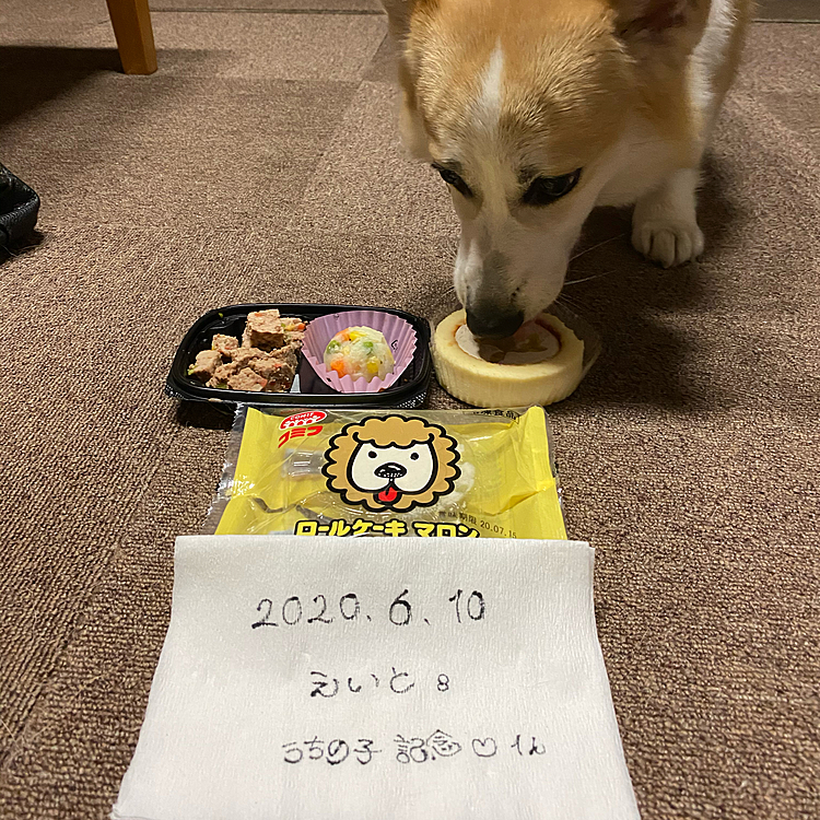 今日はえいとが家族になってくれて、ありがとう
楽しい時間をありがとう
ケーキとお弁当を買って来ました
アッという間にペロリでした❣️

