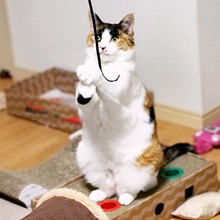 お手並拝見ポーズ