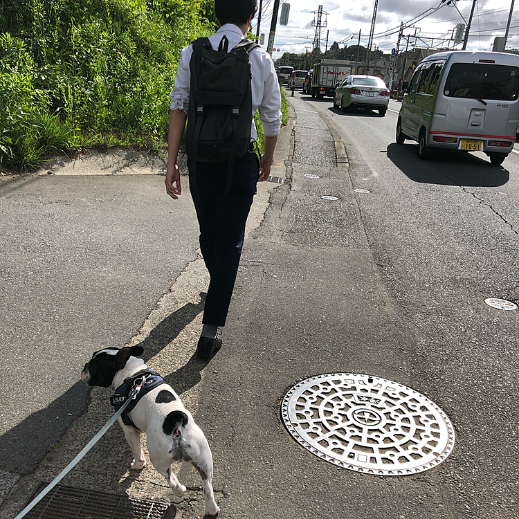 おはようございます🌤
今朝は駅に向かう次男と一緒にお散歩に出ました😀
いつもここで別れていつもの丘の上に向かうのですが、まろは既に左に曲がる態勢になってます😅