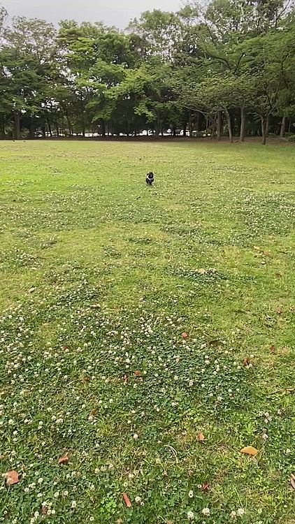びびりなうにはすぐに戻ってきます👍